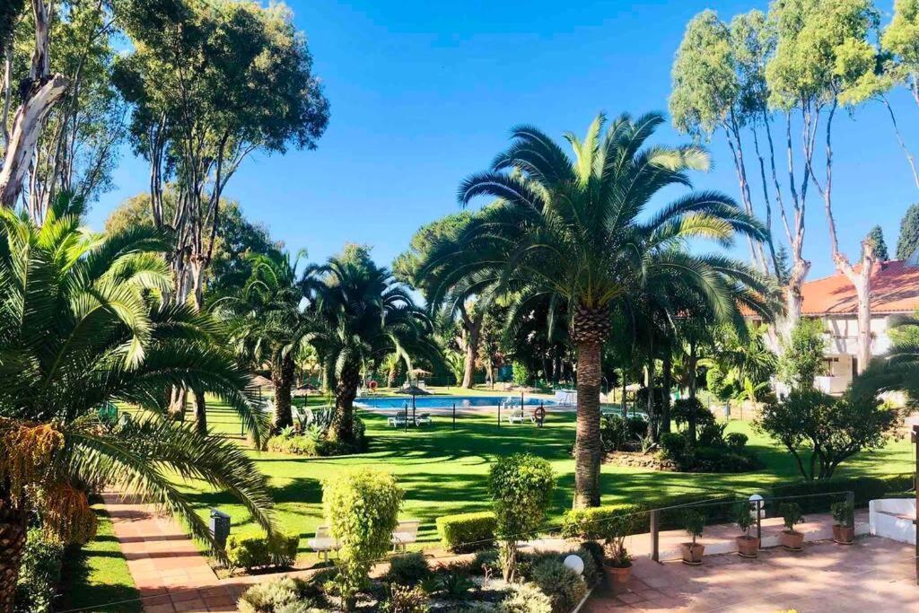 Puerto Banus Richi Suite Marbella Ngoại thất bức ảnh